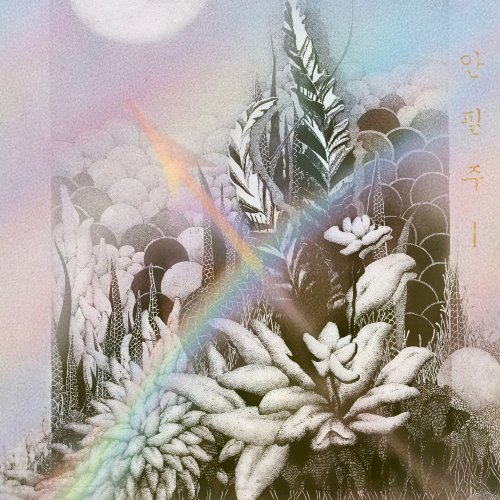 안필주 - 반투명