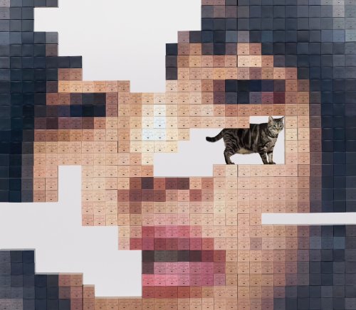 Aimyon [あいみょん] (아이묭) - Jealous of Cats [猫にジェラシ-] [CD (일본 수입반) + 2 DVD (초회한정반)]