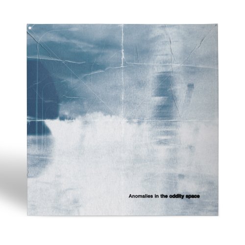 The Poles (더 폴스) &#8211; Anomalies in the oddity space [180g 블랙반 LP / 게이트폴드 커버 / OBI]